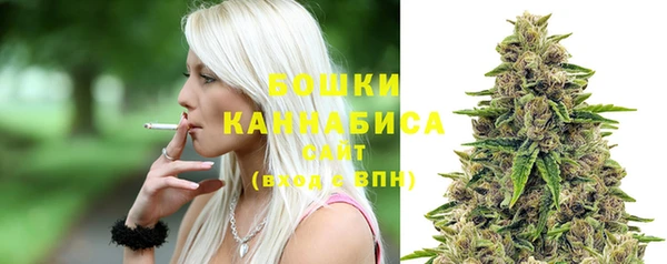 дмт Няндома