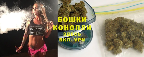 дмт Няндома