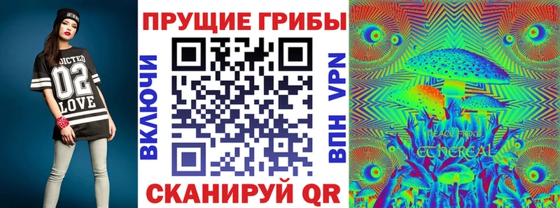 KRAKEN зеркало  Луховицы  Псилоцибиновые грибы прущие грибы 