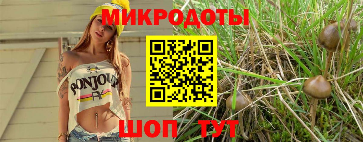 Галлюциногенные грибы Cubensis Луховицы