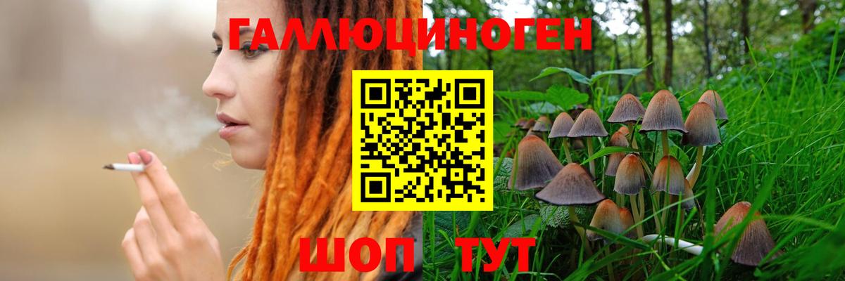Галлюциногенные грибы Cubensis Луховицы