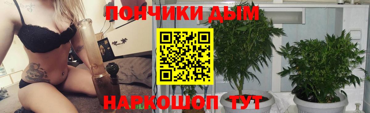 Бошки марихуана OG Kush  Вход с VPN  Шишки марихуана SATIVA & INDICA  Бошки марихуана SATIVA & INDICA  Луховицы 